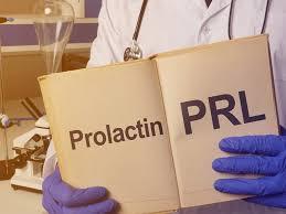 [K_110302] Prolactin